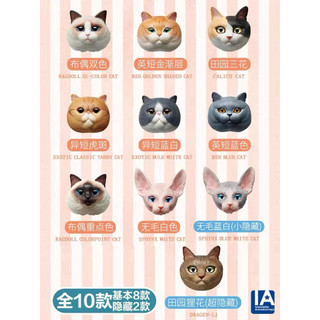 Art Cat Maps 立體貓鑒 磁石盲盒 確認款 - 英短金漸層