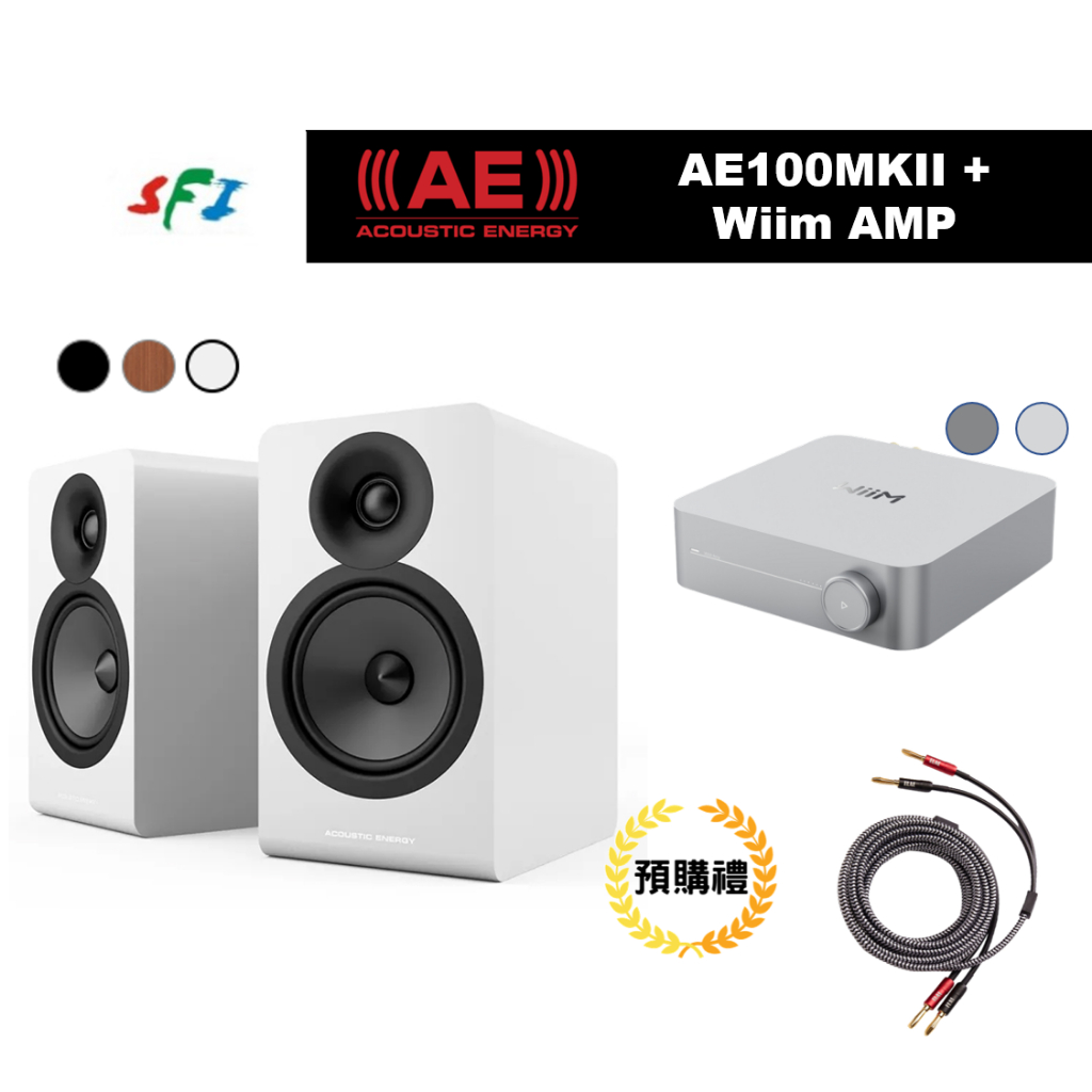 預購 10倍蝦幣回饋 AE100mkii + Wiim AMP 組合優惠 送線材 支援HDMI ARC