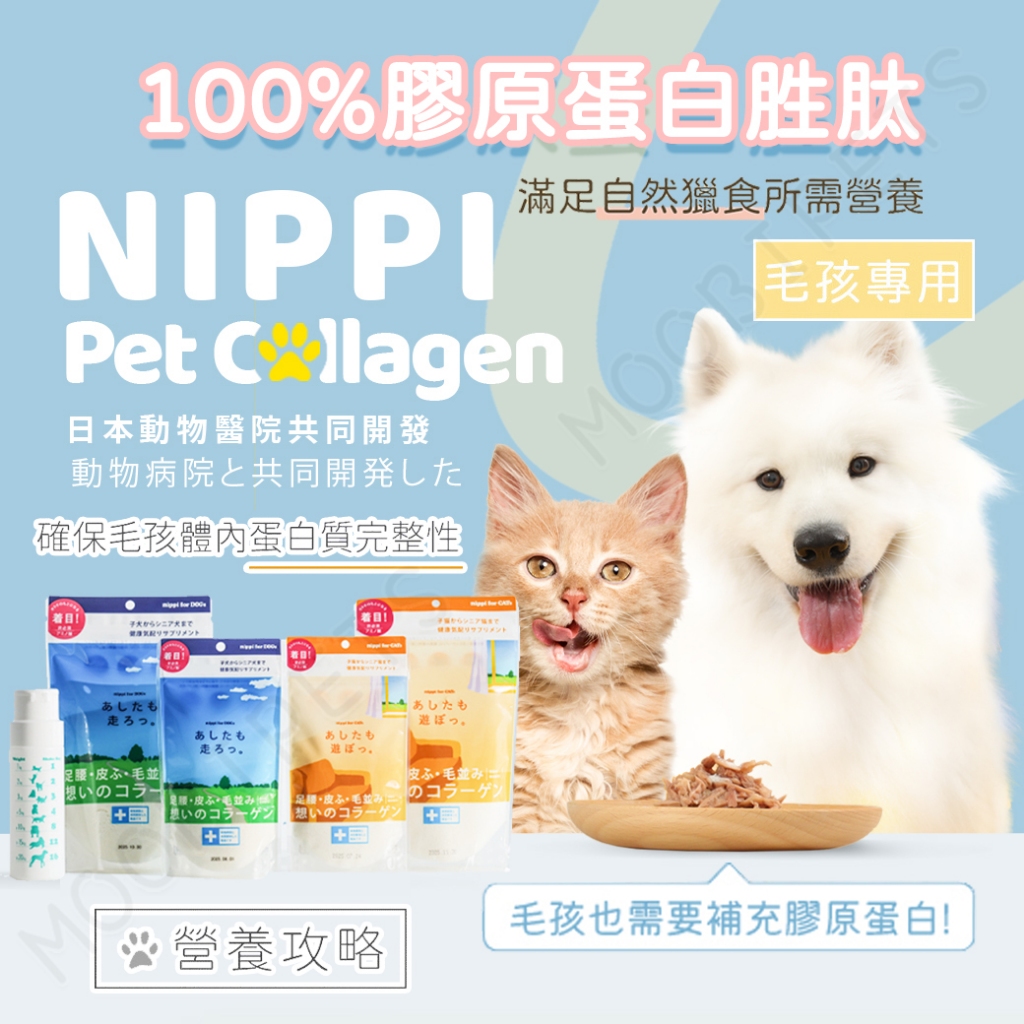 【姆比】NIPPI 日本🇯🇵原裝進口免運❗ 寵物100%膠原蛋白胜肽 狗狗膠原蛋白胜肽 貓咪膠原蛋白胜肽 寵物膠原蛋白