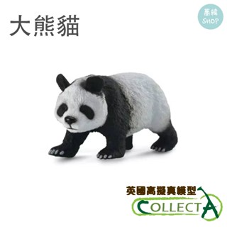 collectA 大熊貓 英國高擬真模型