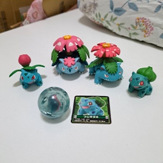 (二手)日本絕版正版寶可夢公仔 神奇寶貝公仔 4隻合售 超級妙娃花 妙蛙草 妙蛙種子 妙蛙花