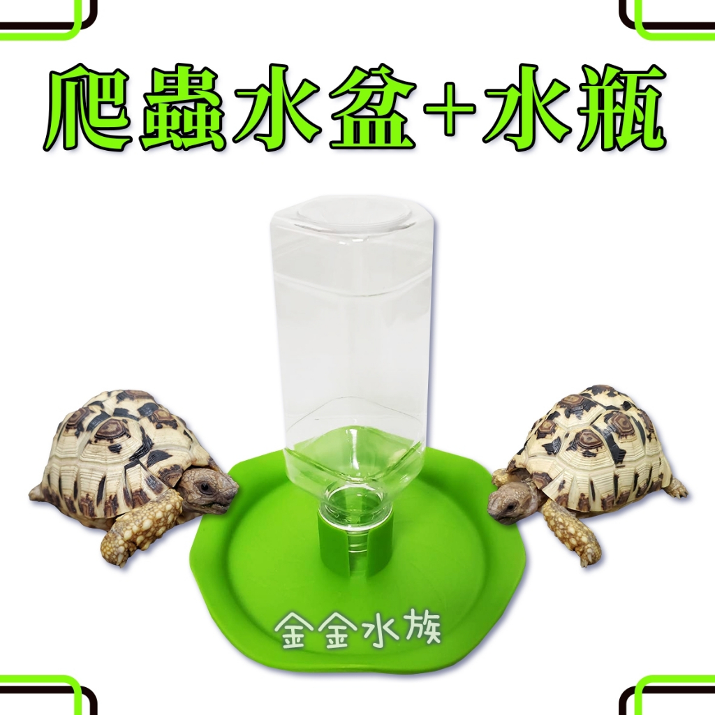 水盆 補水器 水盆+水瓶 陸龜 爬蟲