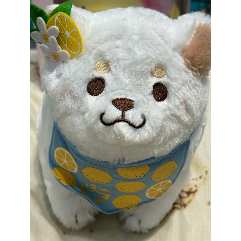景品娃娃 白柴犬 豬豬柴犬