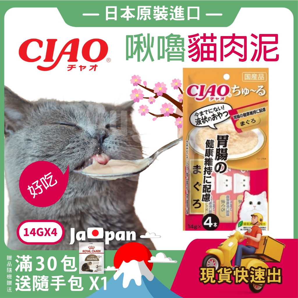 【現貨秒出 隨機贈送隨手包】日本原裝進口 CIAO  啾嚕肉泥 貓咪肉泥 貓用肉泥 貓肉泥 貓零食 貓咪零食