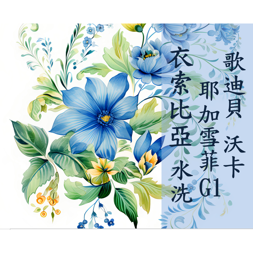 (2025新產季) 獵豆工坊🐆 衣索比亞 耶加雪菲 歌迪貝 沃卡 水洗 G1 咖啡生豆 500g