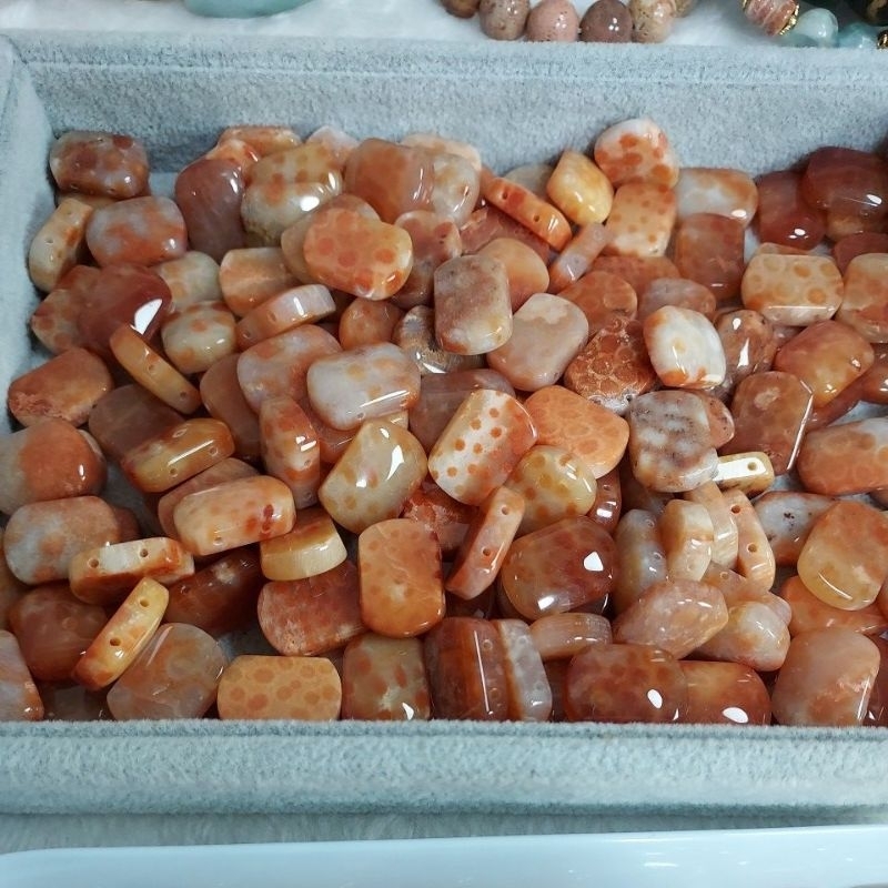 珊瑚玉檸檬花果凍手排片片