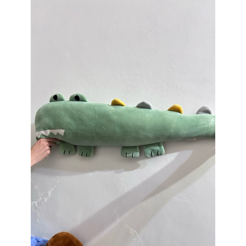鱷魚娃娃🐊 火車上有鱷魚
