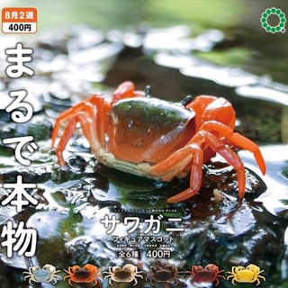 <蟹蟹你的愛2館> 日月潭澤蟹，扭蛋模型，可愛，勿直接下標，需看扭蛋詳細圖請私訊