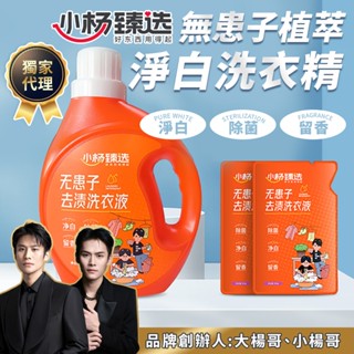 【小楊臻選ｘ實體現貨】無患子去漬洗衣精 洗衣精 洗衣補充包 小楊哥洗衣精 除臭 無患子洗衣精 濃縮洗衣精 洗衣粉 除臭