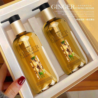 現貨-臺灣出貨 Dr.Rell 生薑強韌修護洗髮精 2入(組) 禮盒組 1組2瓶 洗髮精 洗頭髮 交換禮物