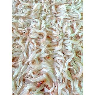 宜蘭媳海鮮水產-富山白蝦