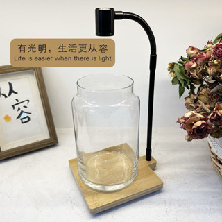 🔥*新上市*定時款*LED竹板燈微景觀燈魚缸燈苔蘚燈生命之樹生態瓶燈植物生長燈