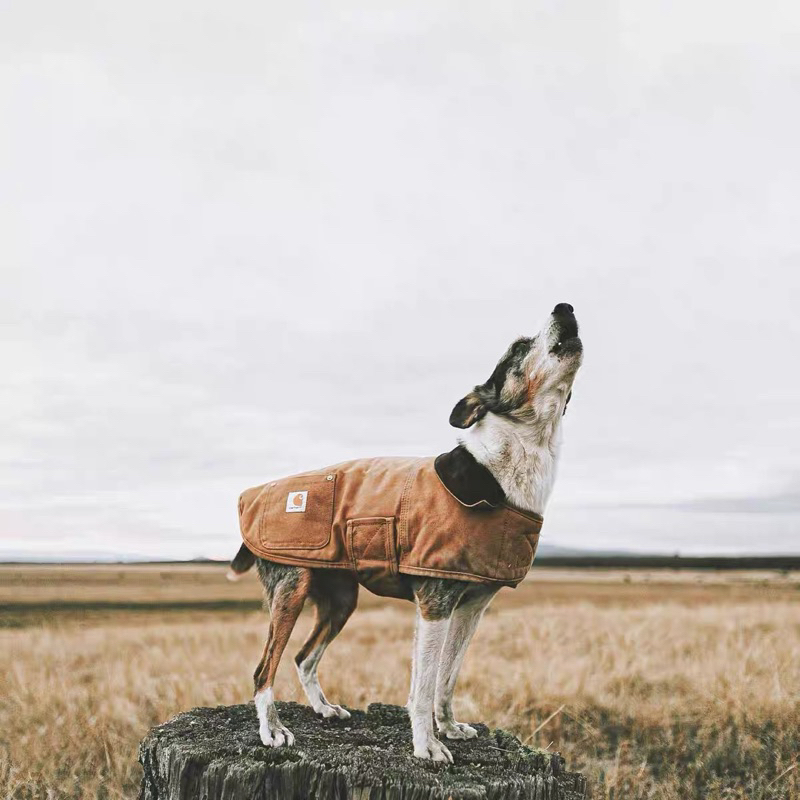全新 現貨 美國 Carhartt 寵物 狗 毛孩 夾克 拼接 外套 背心 風衣 狩獵外套 帆布 防風 保暖 工裝 原單