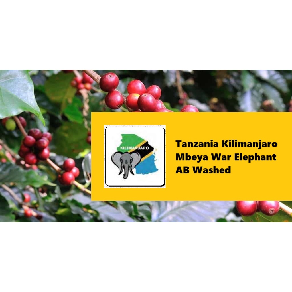 生豆 500g︱坦尚尼亞 吉力馬札羅 姆貝亞區 戰象 AB 水洗 咖啡生豆 COFFEE BEAN︱可立買