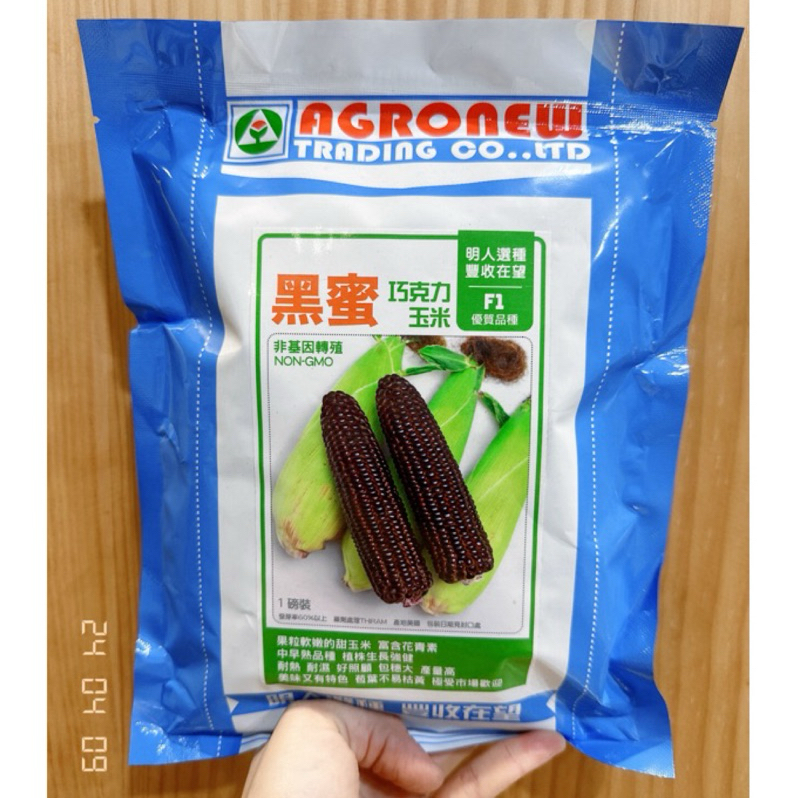 原包裝 1磅 約3600粒 黑蜜巧克力玉米種子 黑蜜玉米種子 巧克力玉米種子 黑甜玉米種子 黑玉米種子 甜玉米種子