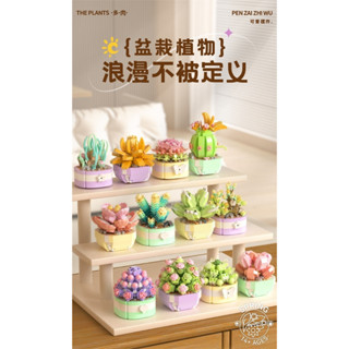 『收藏狂人』單盒55元 多肉植物 款式齊全 現貨模擬盆栽 展示盒 禮物 浪漫花卉 鑽石積木 永生花籃 植物盆栽 療癒小物