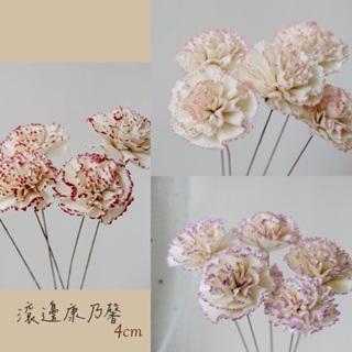 ⋒芳馨花園⋒現貨✔康乃馨4cm /滾邊色款/ ♥擴香花索拉花乾燥花乾燥花不凋花永生花情人節花束乾燥花禮