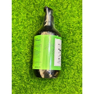 茶樹植萃頭皮調理洗髮精500ml 清爽 控油 茶樹洗髮精 控油洗髮精 #夏天必備