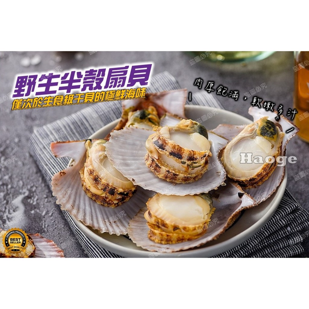 【炙尊炊食】野生半殼扇貝【500g/包(包冰40%)】_冷凍_生鮮_露營_燒烤_野餐_烤肉_海鮮