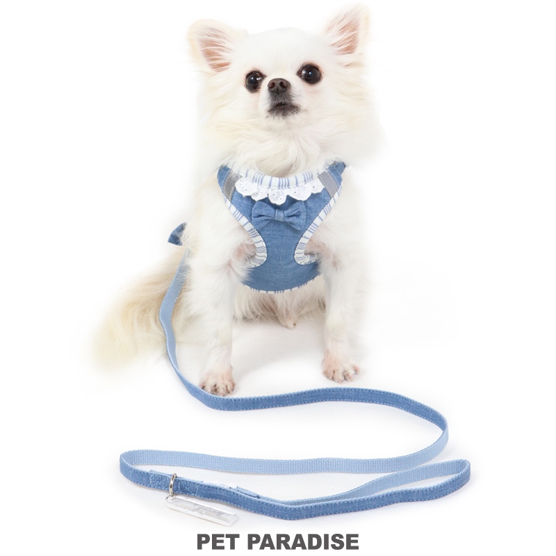 【PET PARADISE】寵物外出胸背/附牽繩 (3S/SS)｜PP 2024熱銷款