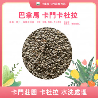 NEW巴拿馬 瓦肯山谷 卡門莊園 卡杜拉 水洗處理