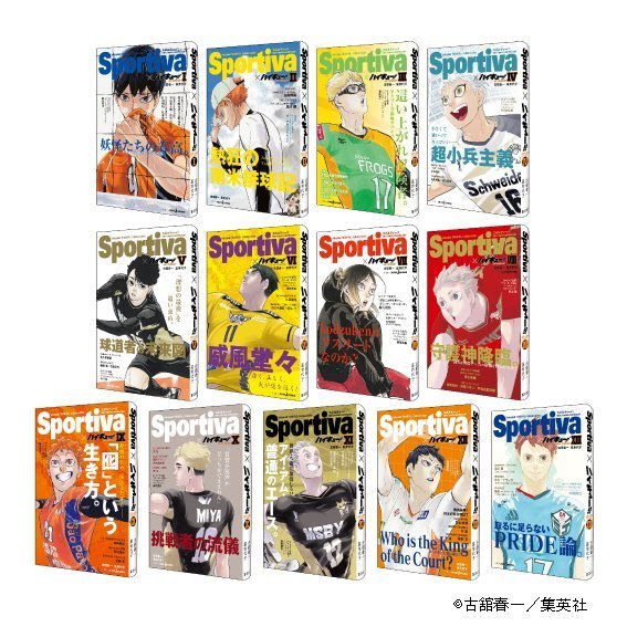 [GE小舖](全新現貨) 日文小說 排球少年!! 第1卷~第13卷 Sportiva 封面特別版 排球 特典 門票 書籤
