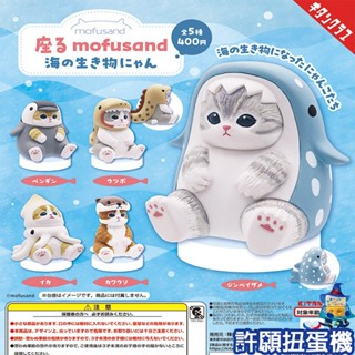 【許願扭蛋機】『現貨』 貓福珊迪海洋生物貓坐姿公仔 全5種 扭蛋 轉蛋 KITAN 貓 貓福珊迪 鯊魚 鯊魚貓 公仔