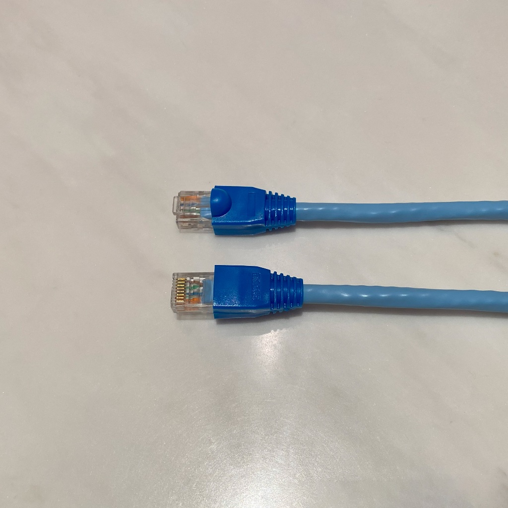 大同 CAT6 23AWG UTP 網路線 藍色 雙絞線