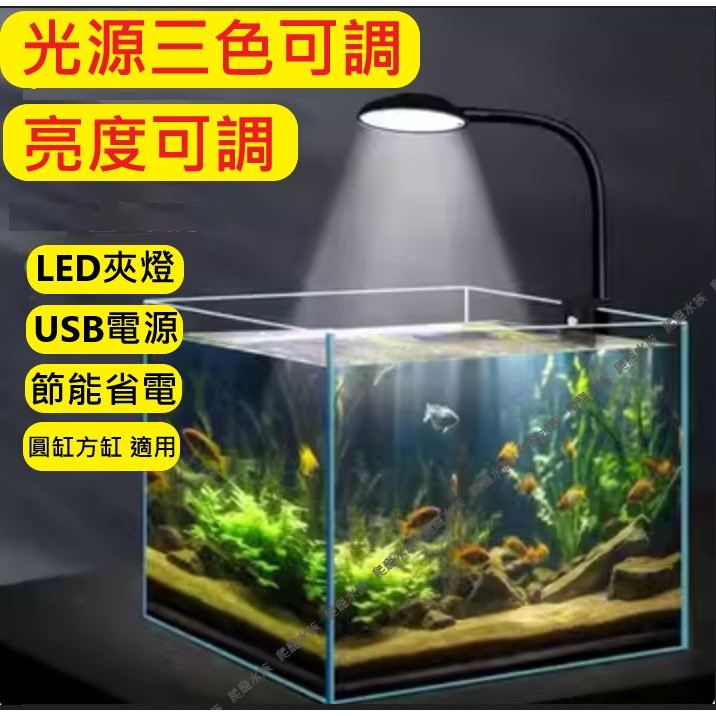 可調光【LED 魚缸夾燈 】USB燈具 夾燈 水草 水族夾燈，藍白光，海水缸 魚缸 圓缸 方缸 LED燈