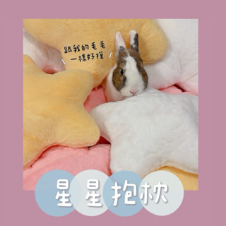 星星小抱枕｜超柔軟兔毛等級星星家居抱枕客廳抱枕｜北歐風抱枕 靠枕 星星玩偶 可愛坐墊靠枕｜新年禮物交換禮物