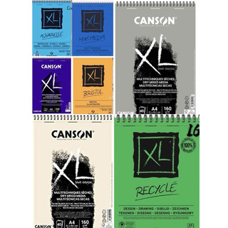 10張 不是一本 水彩紙 粉彩紙 滑面 Canson XL Aquarelle 中粗紋 BRISTOL MixMedia