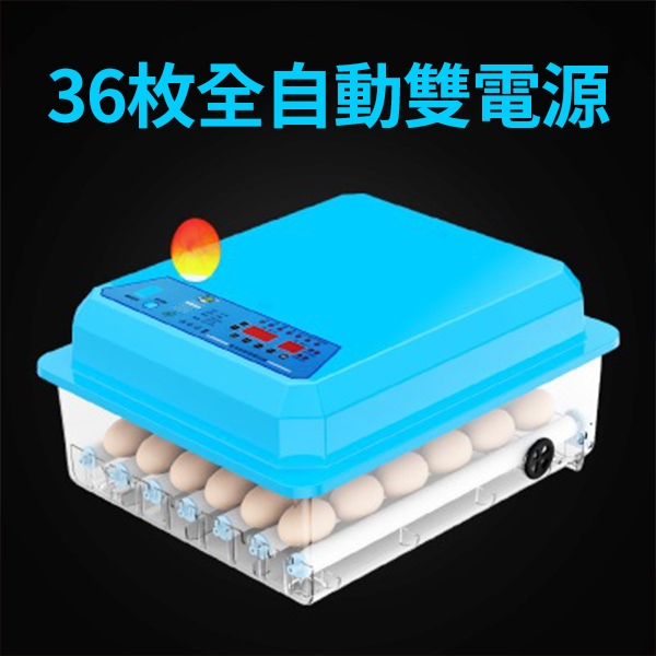 【歐漫科技】孵化機 全自動孵化器 36枚 110V 智慧孵化器 小型家用小雞蛋孵化器 孵蛋器 孵化箱 智能控溫 一鍵操作