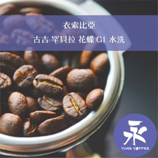 [永每咖啡]599元1磅裝,古吉 罕貝拉 花蝶 G1 水洗(衣索比亞)淺焙咖啡豆,滿500元免運,新鮮烘焙