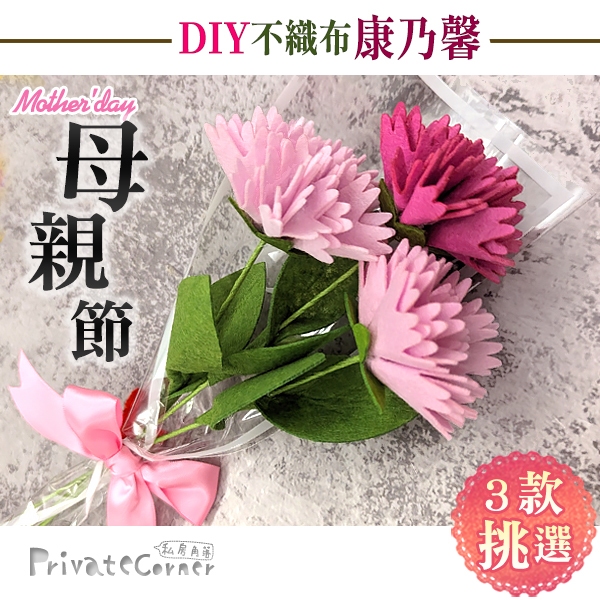私房角落💗母親節 DIY不織布康乃馨 單朵花束/附包裝袋+蝴蝶結【EFE0040】 禮品禮物 DIY康乃馨 手作花朵