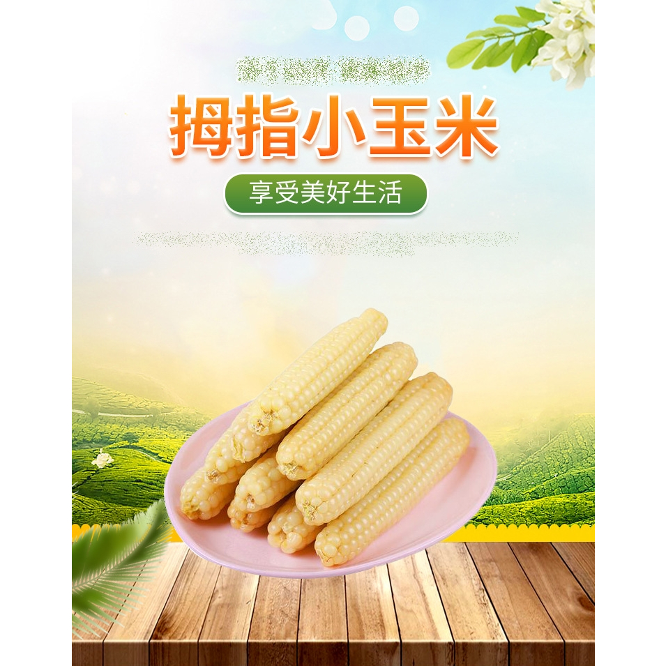 【蔬菜種子S344】黃拇指玉米~甜度高、甜味濃、口感好且豐產的最新甜玉米品種。
