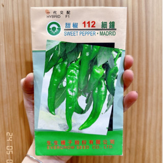 城禾農產🍃 牛角椒種子 22粒 不辣椒種子 甜不辣椒種子 牛角椒種子 大辣椒種子 辣椒種子 甜辣椒種子 牛角辣椒種子