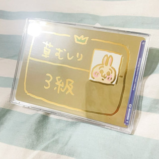 【地精小舖】現貨 WSB 吉伊卡哇 chiikawa 對戰卡牌 收藏卡 烏薩奇 證照 雙面卡 CIKW/01B-018B
