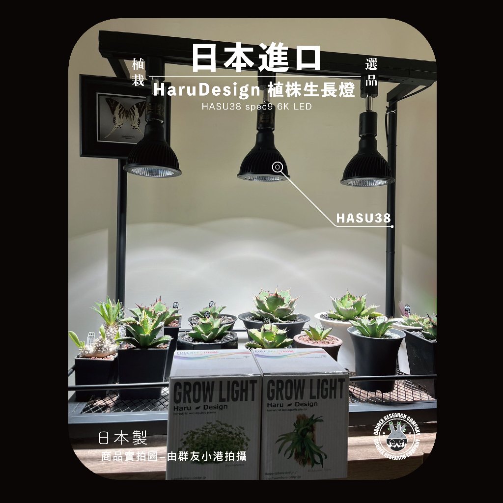 蝦皮最低 日本品牌 HaruDesign植物育成燈LED HASU38 6K含廣角燈罩 現貨在庫 水族箱 水族 塊根植物