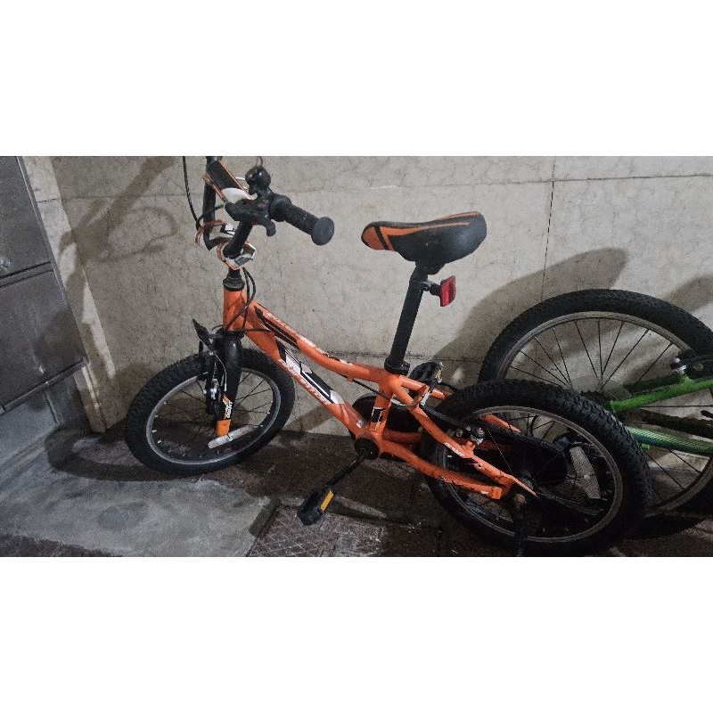 捷安特19吋 兒童腳踏車