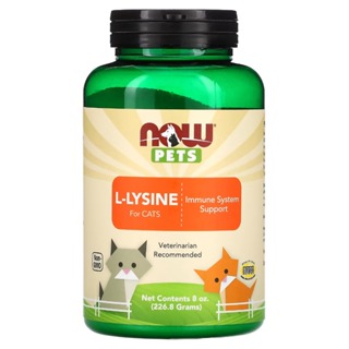「愛貓有吃才代購」 Now Foods 美國 NOW PETS L-Lysine 貓用離胺酸 8oz (226.8g)
