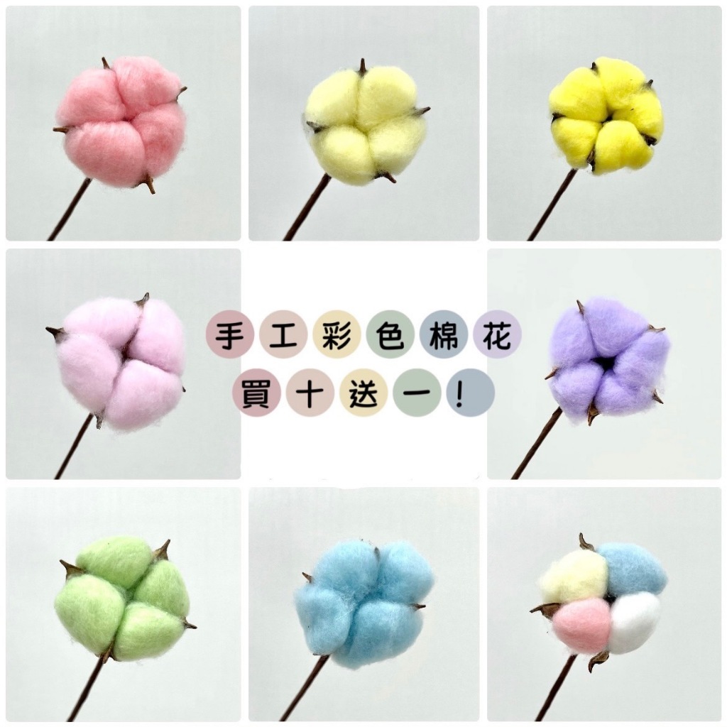 花藝夢*手工彩色棉花 乾燥花  棉花 永生花 不凋花 乾燥花材