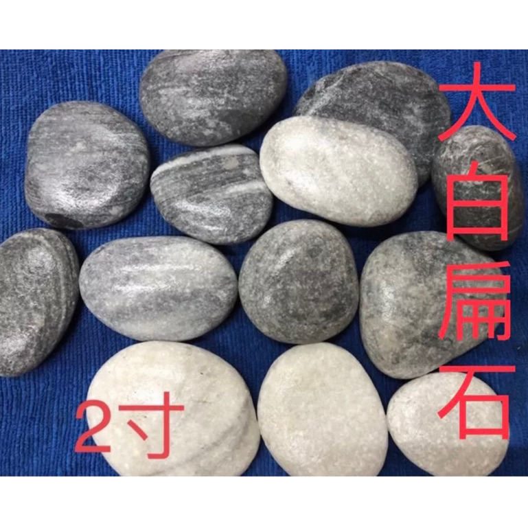 大白扁石，一包20公斤，免運費。圓扁石、花扁石、大白扁石、大白扁-2寸、3寸、4寸。造景石頭