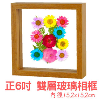 【A-ONE 匯旺】正方形6吋 DIY 雙層玻璃相框 乾燥花 壓花雙層實木相框 標本花束 樹葉天然押花畫框 牆壁裝飾擺件