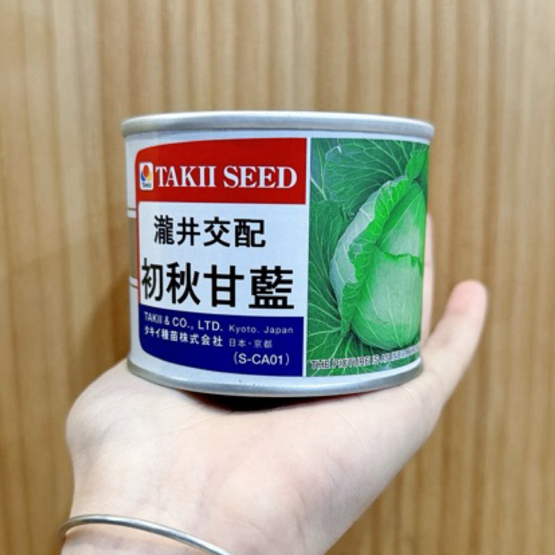原包裝 1/4磅 Takii初秋高麗菜種子 約1.8萬粒 初秋種子 高麗菜種子 初秋高麗菜種子 初秋高麗菜種子 甘藍種子