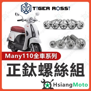 【翔好機車】Many 110 全車螺絲 銀色 Many 鈦螺絲 Many110 鈦合金螺絲 鐵板牙 車殼螺絲 空濾螺絲