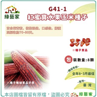 【綠藝家】G41-1.紅蜜寶水果玉米種子8顆(有藥劑處理) 含苞葉種280-300公克，穗長 18-20公分