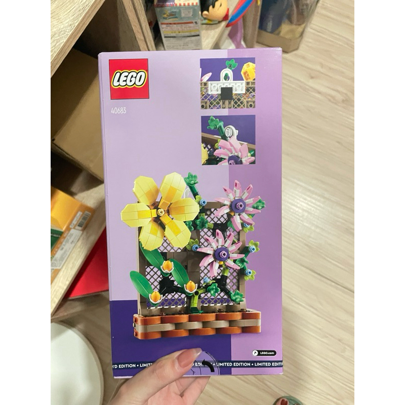 LEGO 40683 花架擺飾 花（全新）