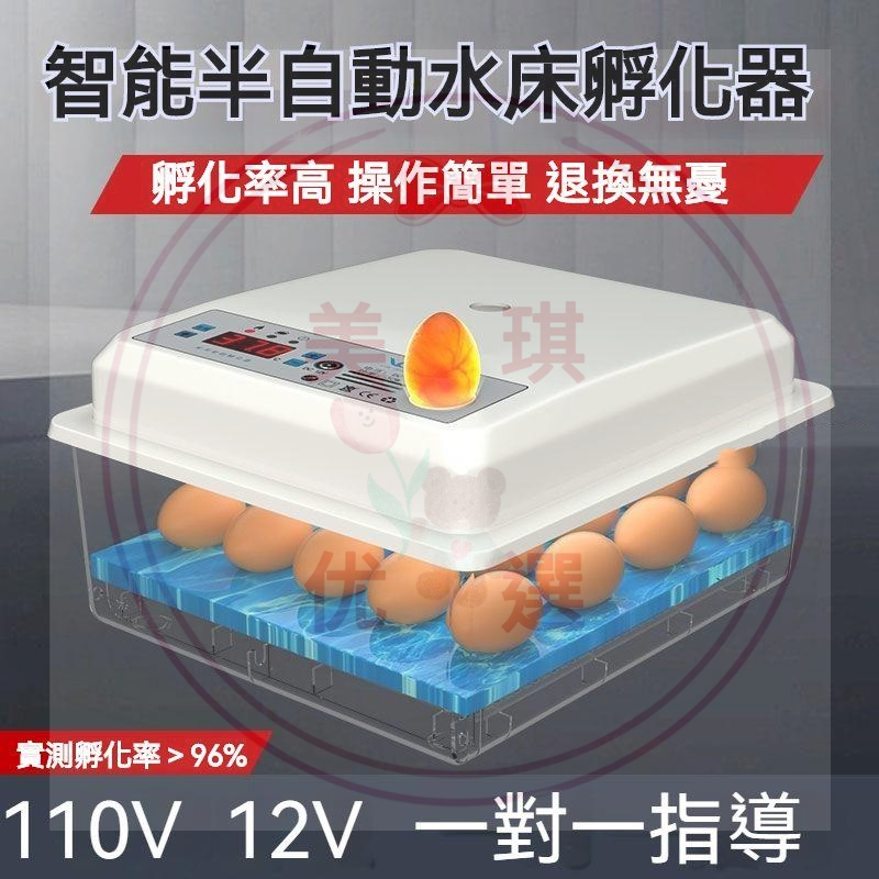 【超低價】.110V 12V 雙電 半自動孵化器 孵蛋機 智能型傢用孵蛋器 照蛋燈 智能水牀 小型 孵蛋器 孵化箱.yc