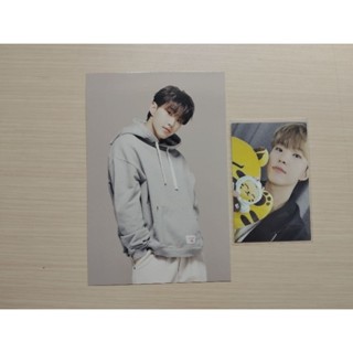 SEVENTEEN HOSHI 權順榮 TAM TAM 眈眈 小老虎 小卡 娃娃卡 線下明信片