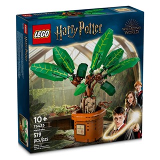 LEGO樂高 LT76433 Harry Potter 哈利波特系列2024 - Mandrake